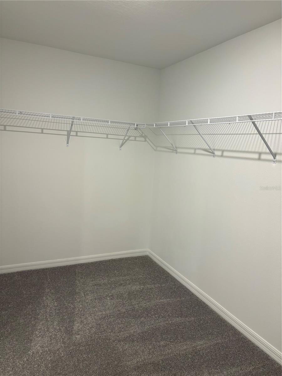 3615 NATURAL TRACE ST, PLANT CITY, FL, 33565
