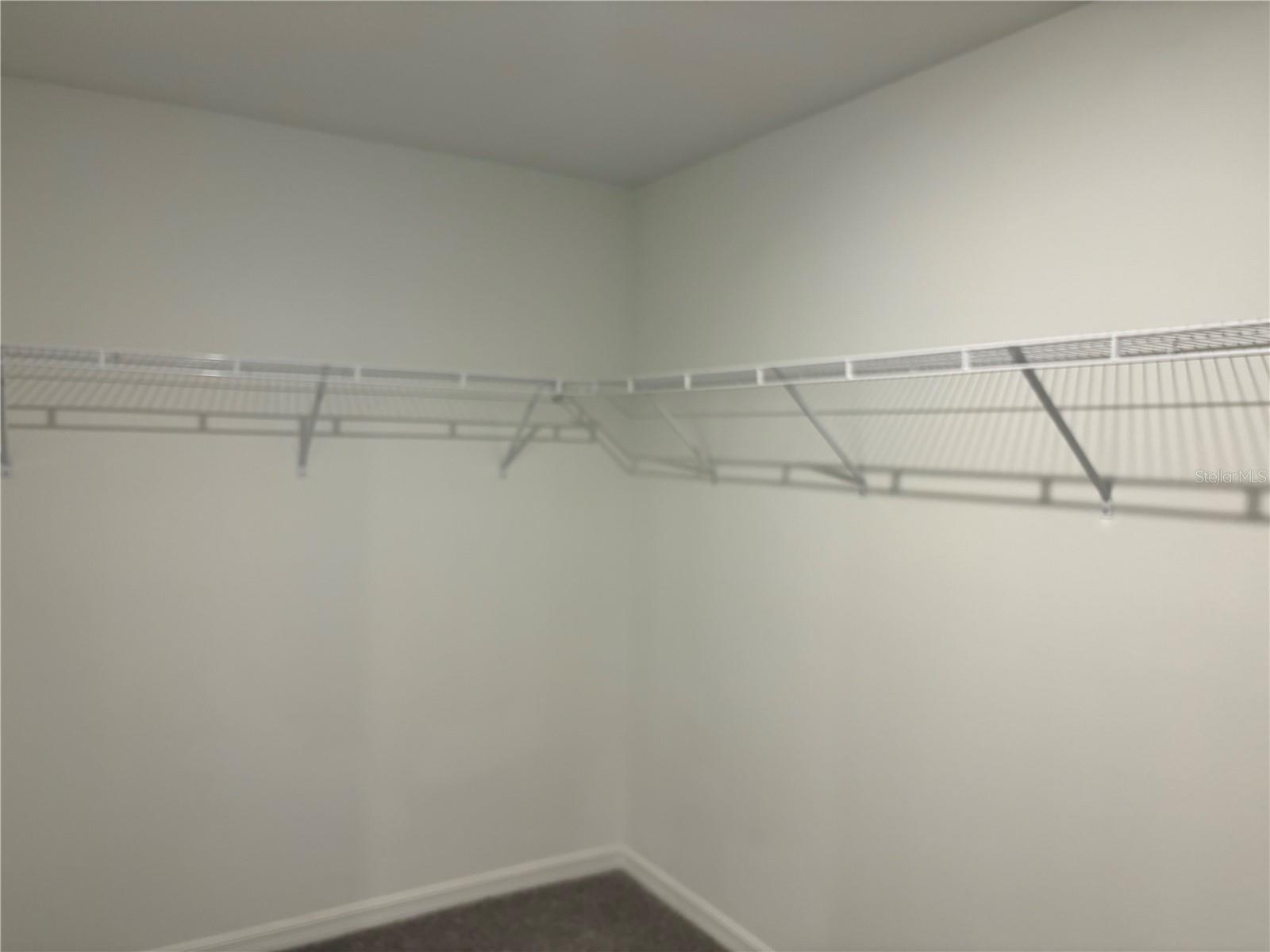 3615 NATURAL TRACE ST, PLANT CITY, FL, 33565