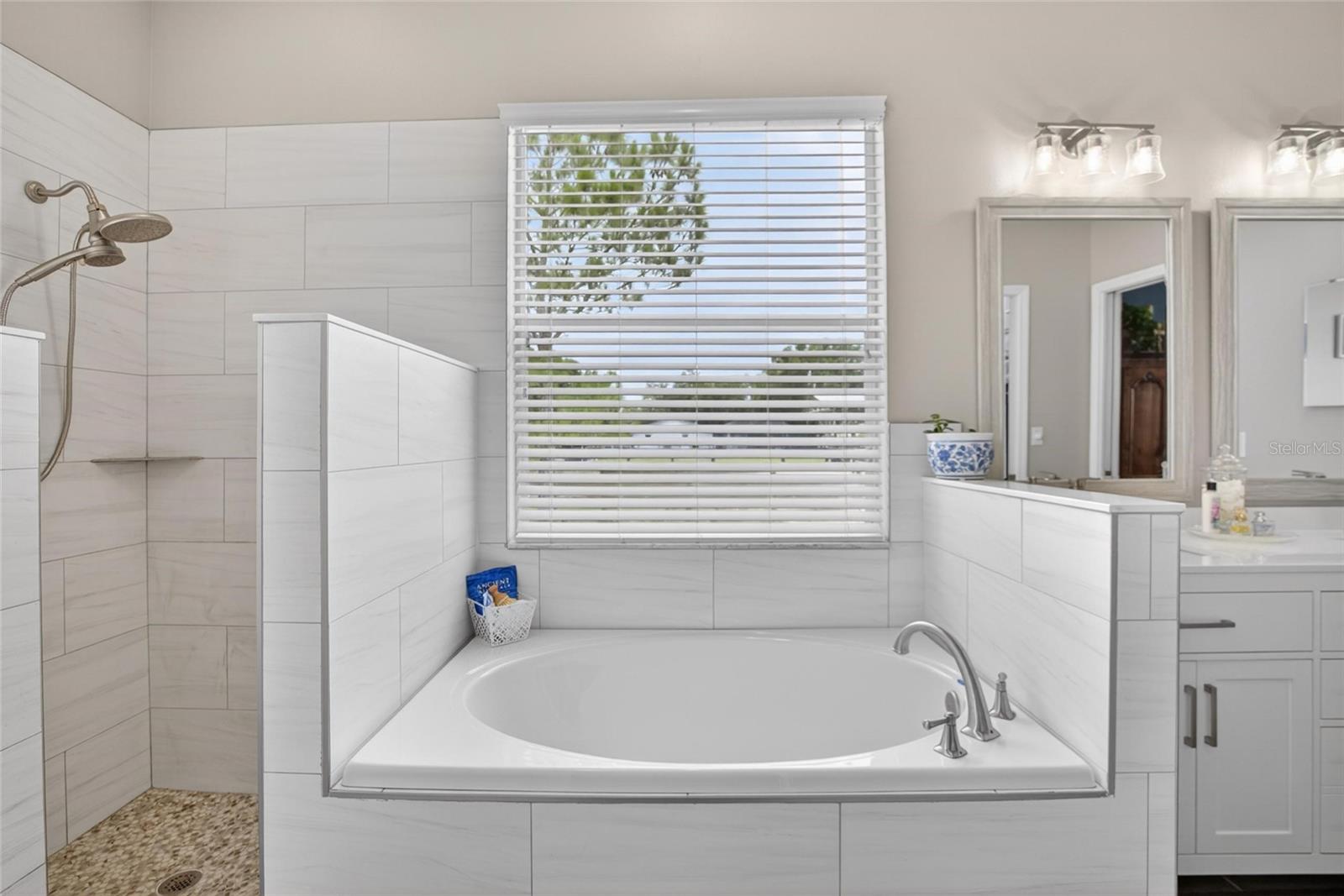 18622 DORMAN RD, LITHIA, FL, 33547