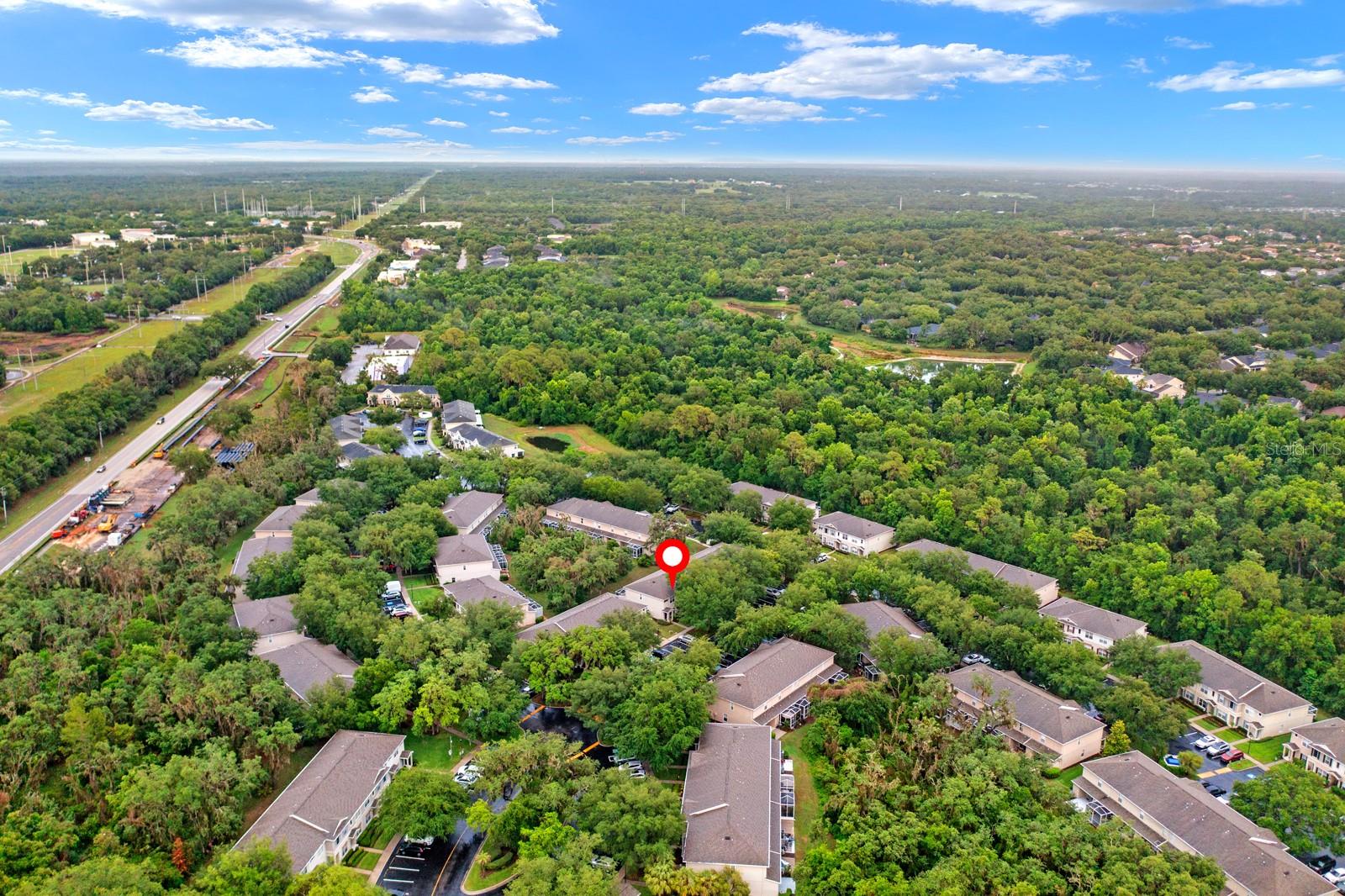 15836 FISHHAWK FALLS DR, LITHIA, FL, 33547