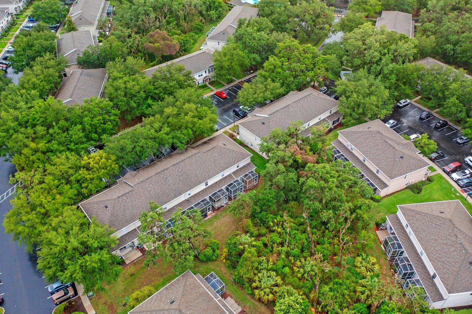 15836 FISHHAWK FALLS DR, LITHIA, FL, 33547