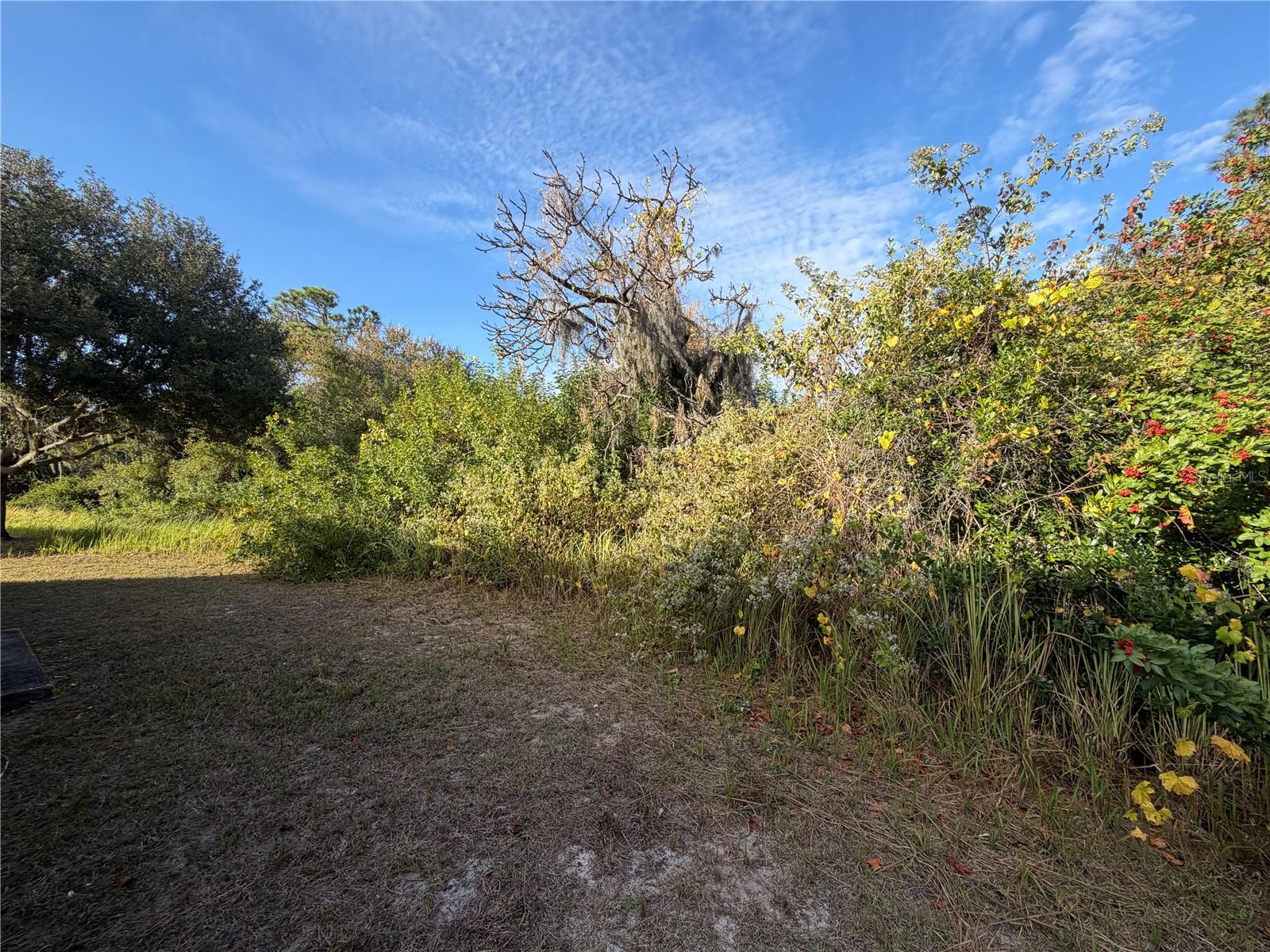 11701 BRENFORD CREST DR, RIVERVIEW, FL, 33579