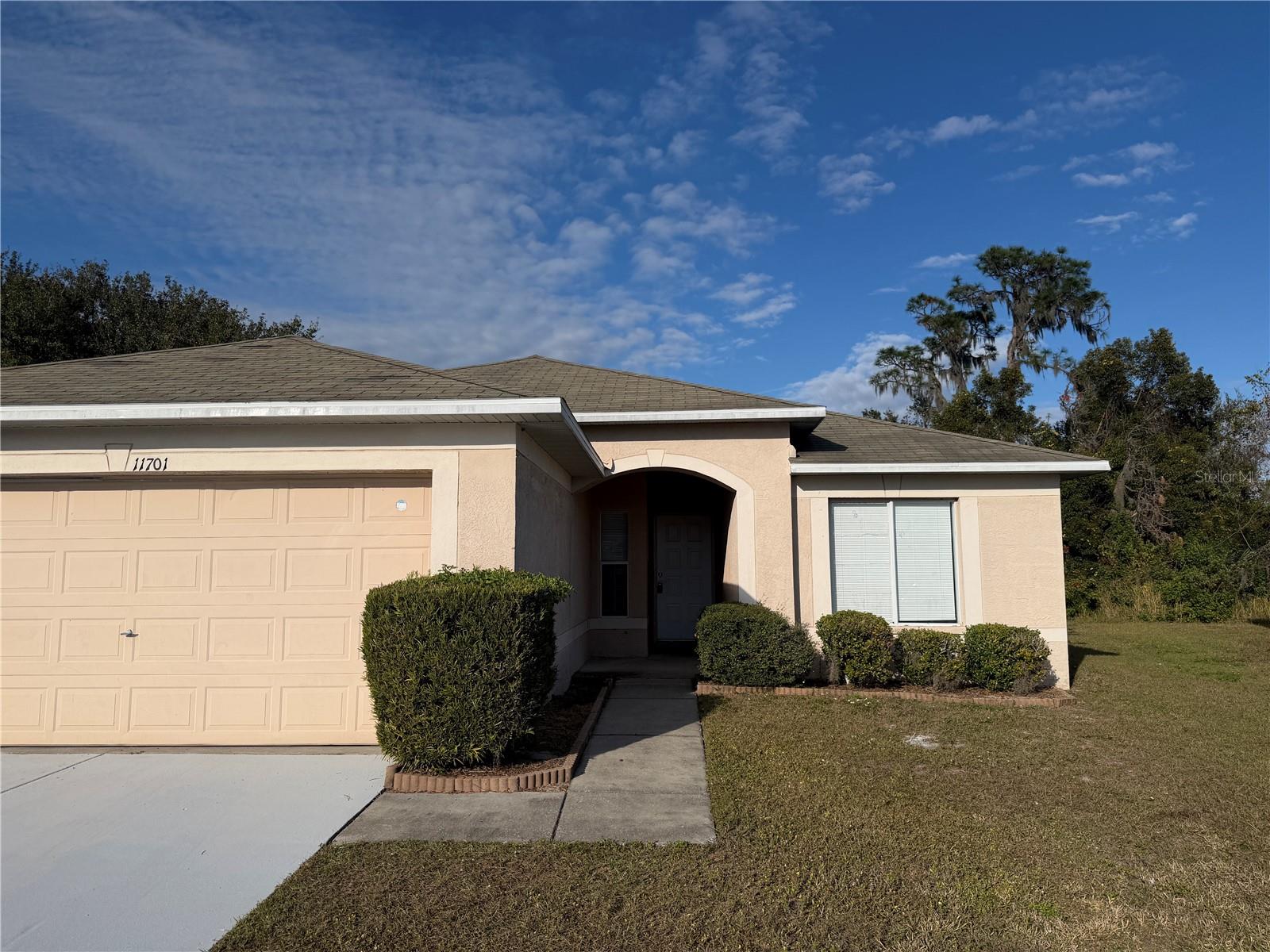 11701 BRENFORD CREST DR, RIVERVIEW, FL, 33579