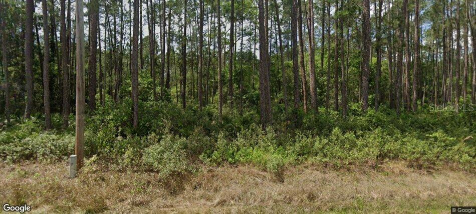 137 E BOUNDARY DR, GEORGETOWN, FL, 32139
