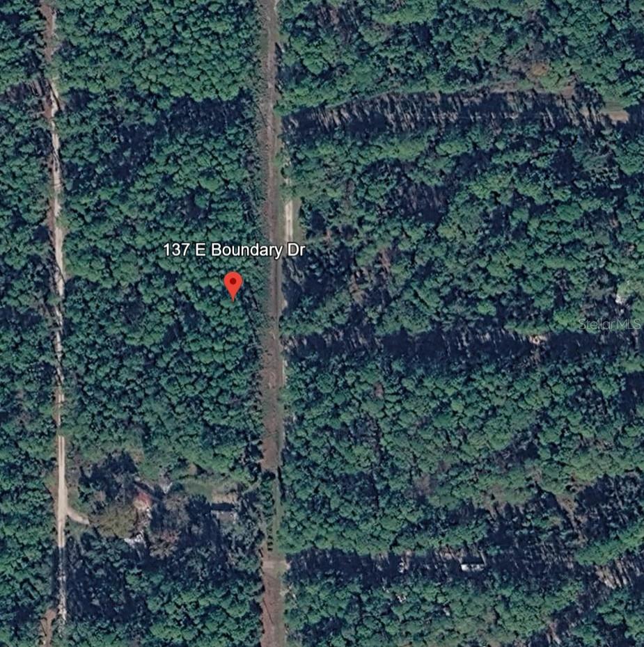 137 E BOUNDARY DR, GEORGETOWN, FL, 32139