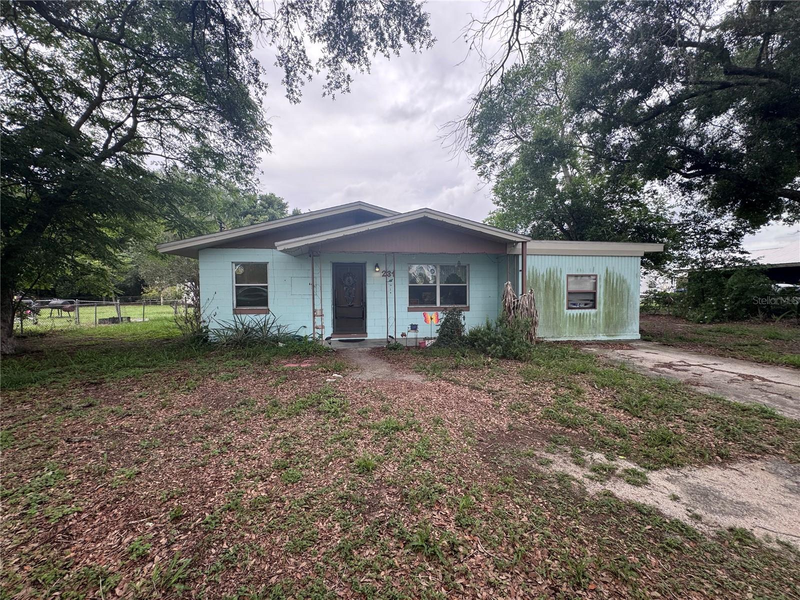 231 WILLOW ST, LAKE WALES, FL, 33859
