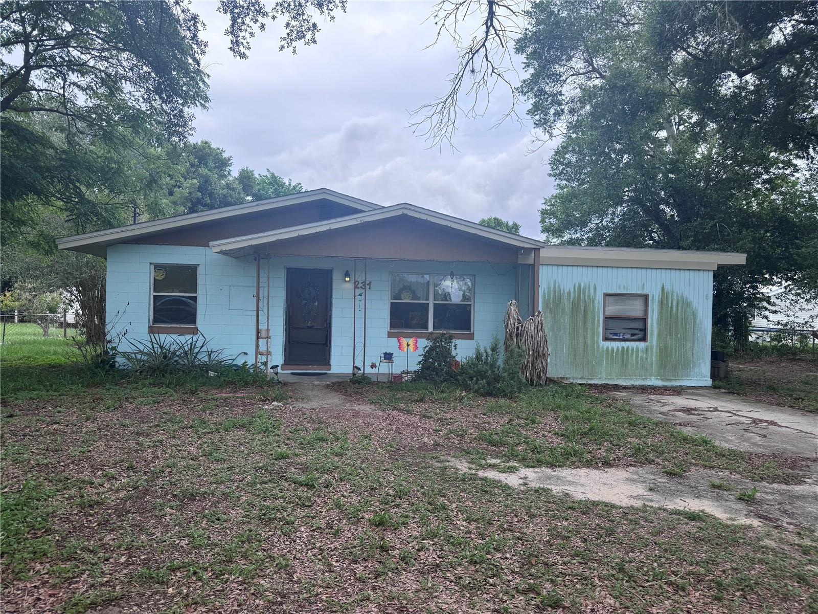 231 WILLOW ST, LAKE WALES, FL, 33859