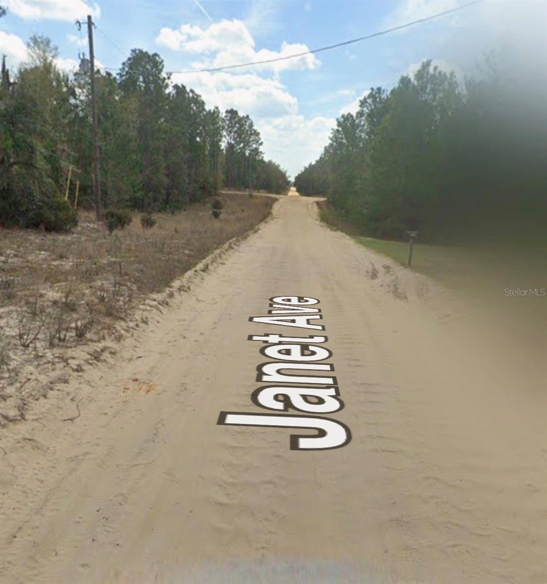 JANET AVE, INTERLACHEN, FL, 32148