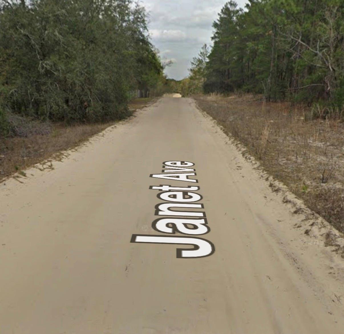 JANET AVE, INTERLACHEN, FL, 32148