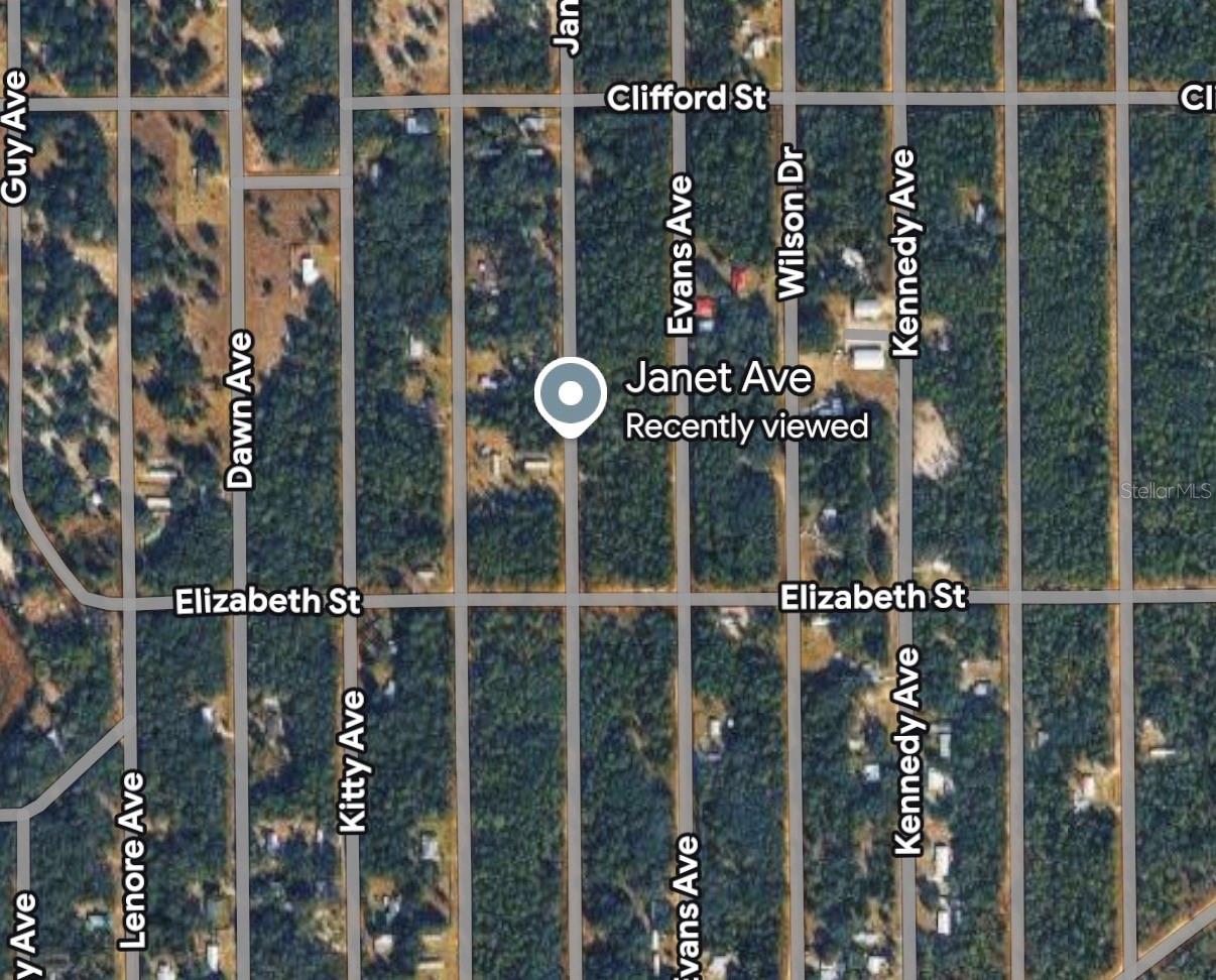 JANET AVE, INTERLACHEN, FL, 32148
