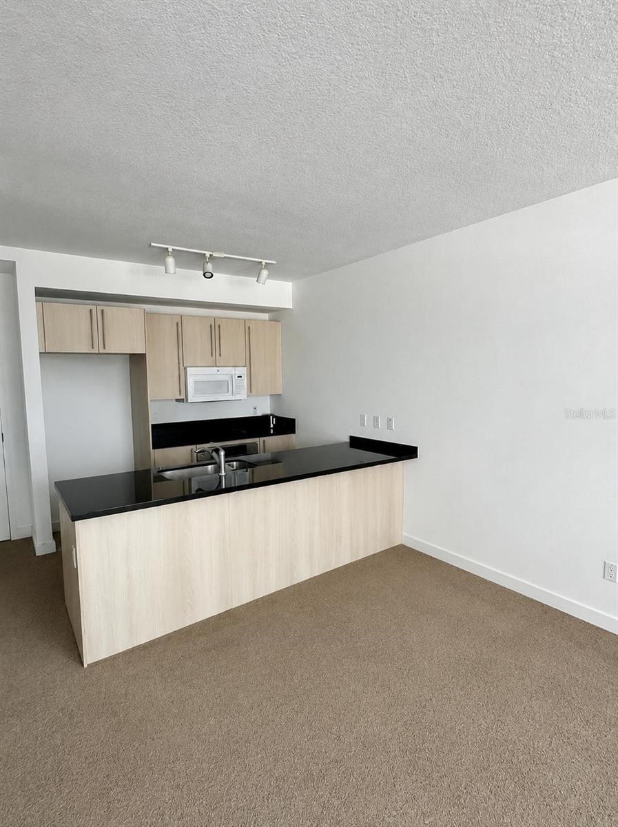 1111 SW 1ST AVE #1924, MIAMI, FL, 33130