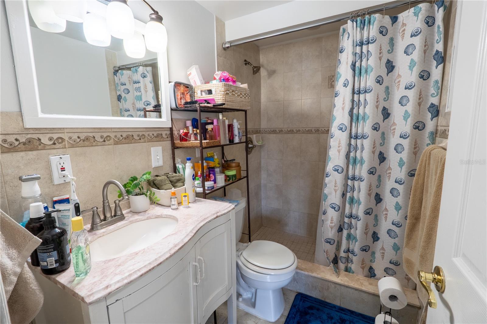 8819 W BROAD ST, TAMPA, FL, 33615