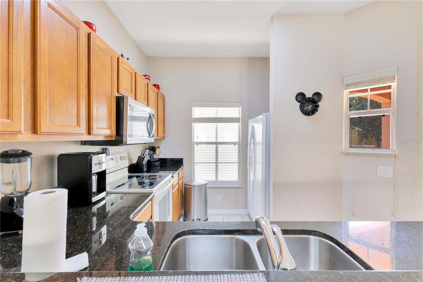 8553 BAY LILLY LOOP, KISSIMMEE, FL, 34747