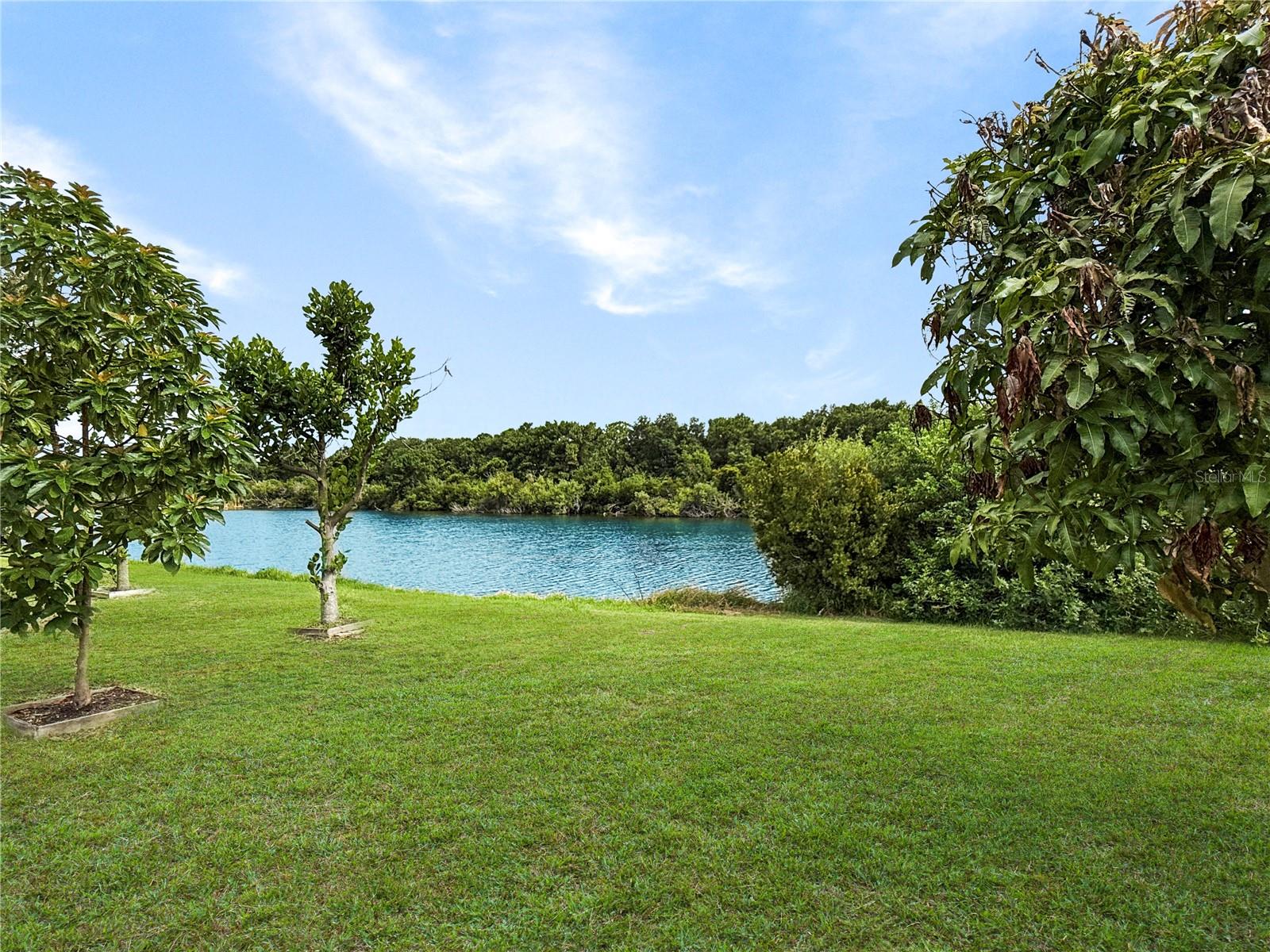 7115 FOREST MERE DR, RIVERVIEW, FL, 33578