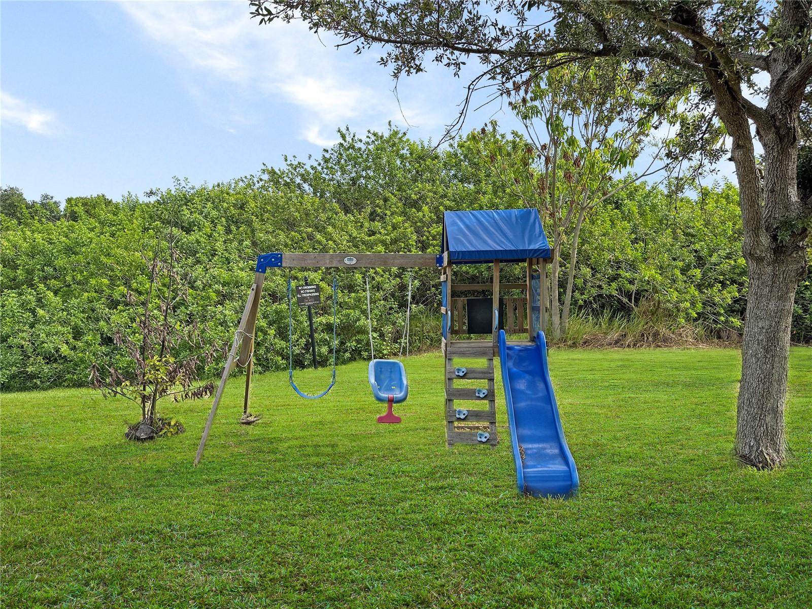 7115 FOREST MERE DR, RIVERVIEW, FL, 33578