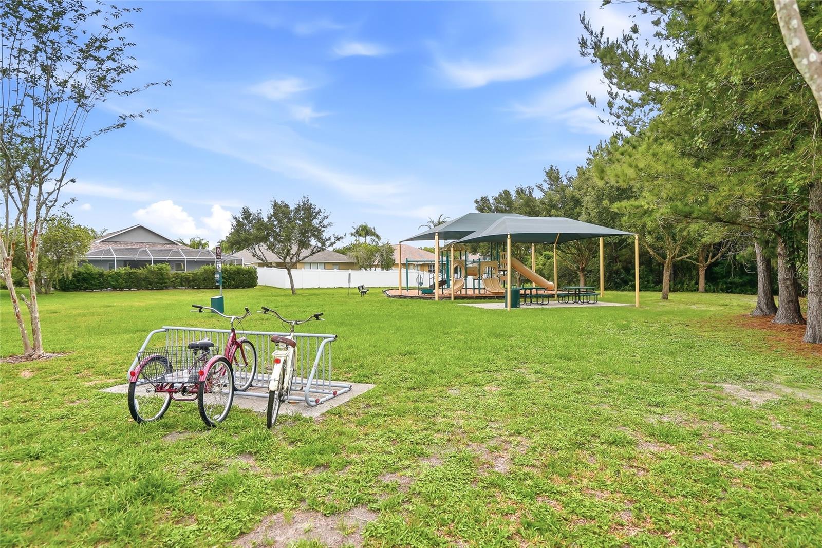 16650 FAIRBOLT WAY, ODESSA, FL, 33556