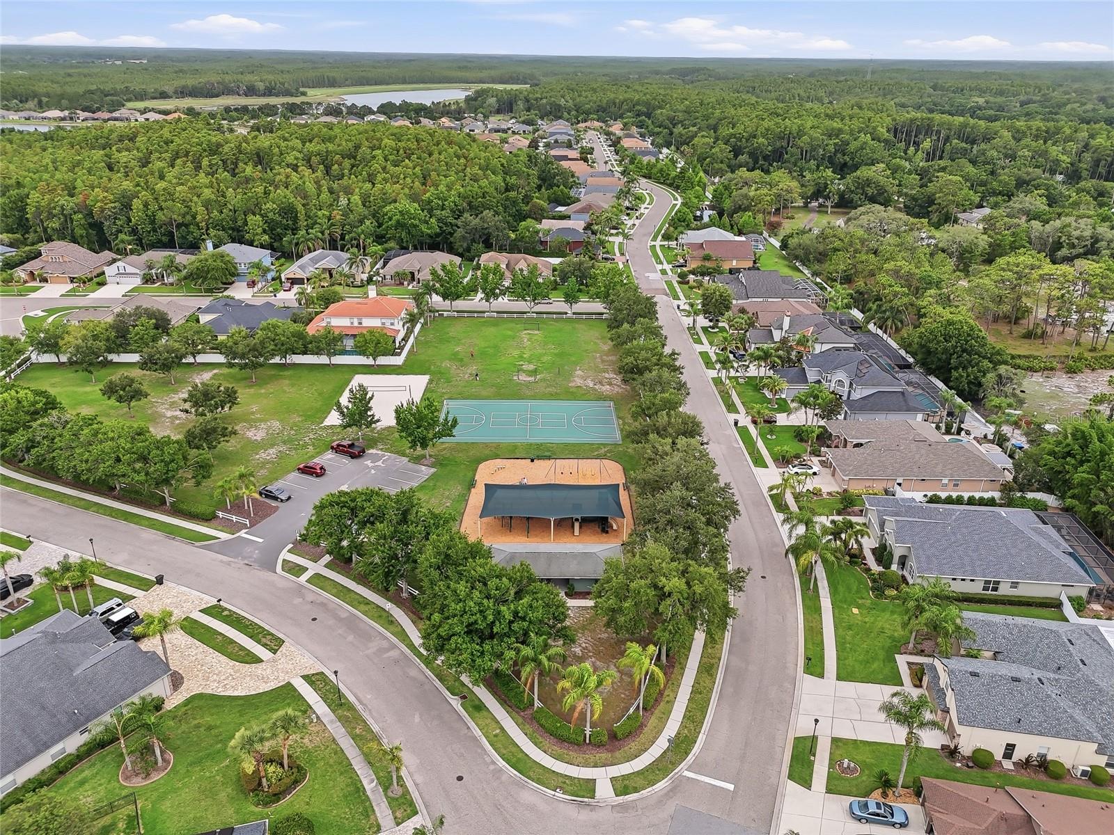 16650 FAIRBOLT WAY, ODESSA, FL, 33556