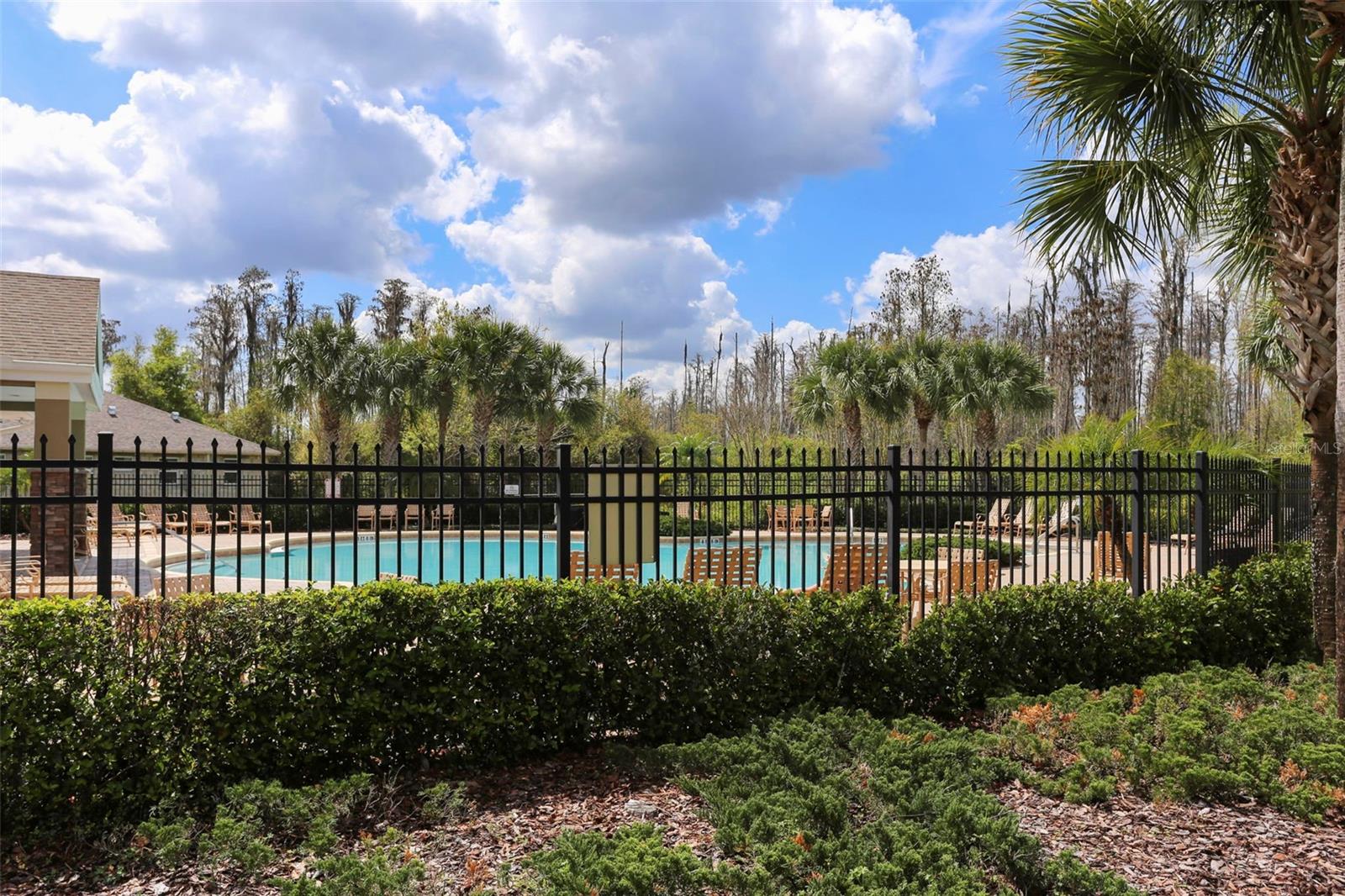 12516 SAULSTON PL, HUDSON, FL, 34669