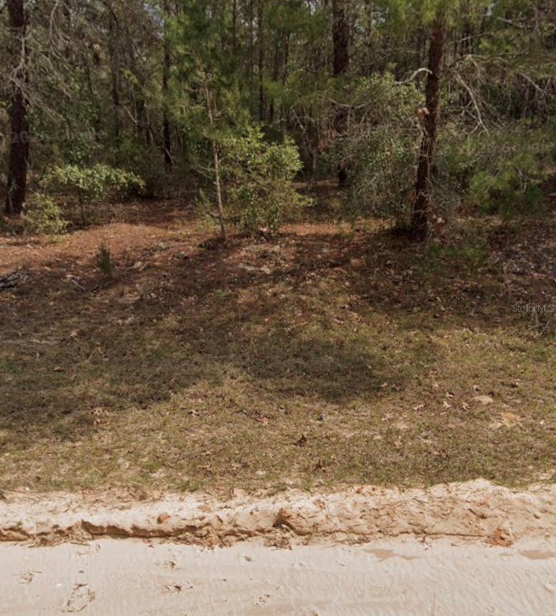 MICHAEL AVE, INTERLACHEN, FL, 32148
