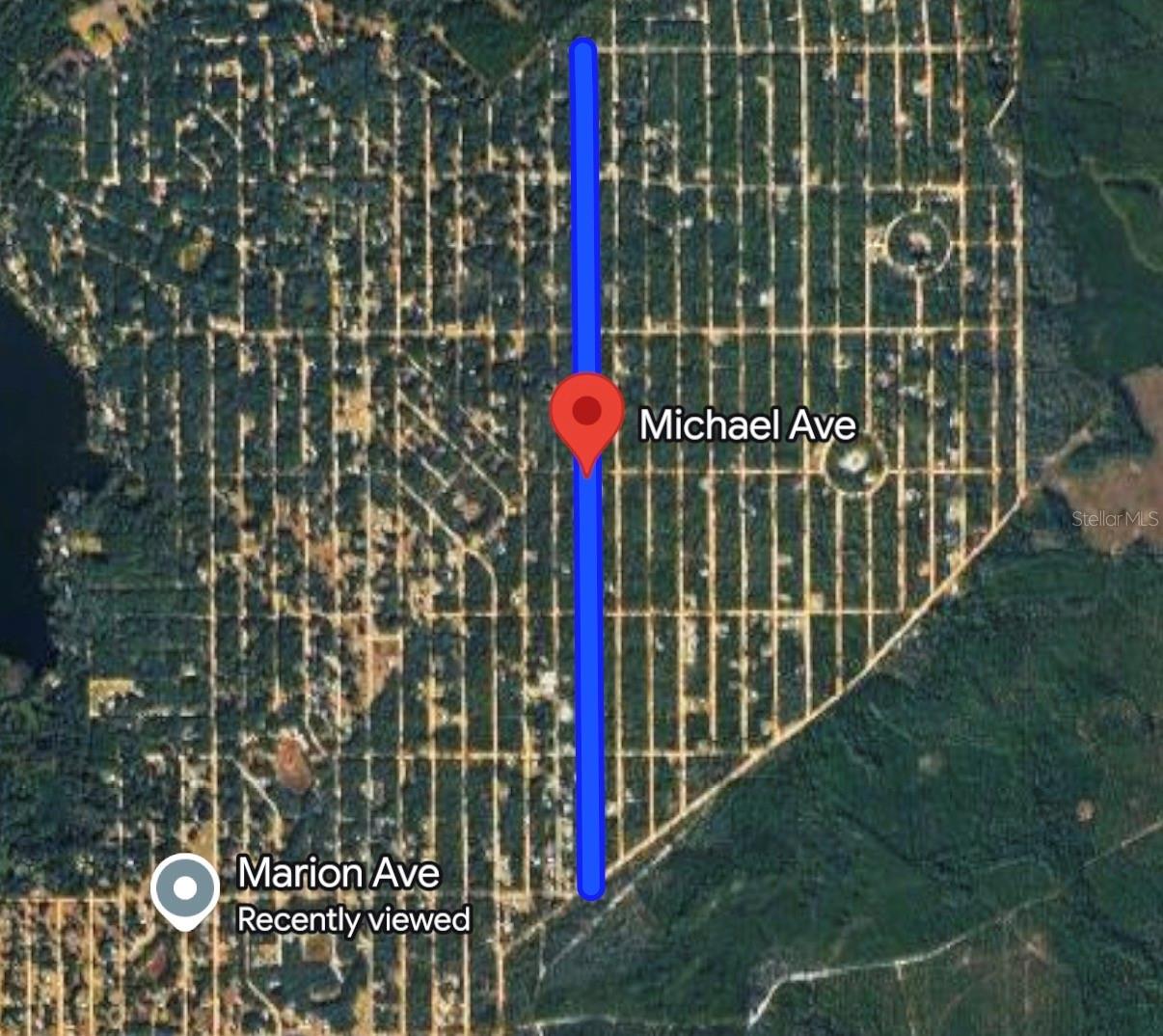 MICHAEL AVE, INTERLACHEN, FL, 32148