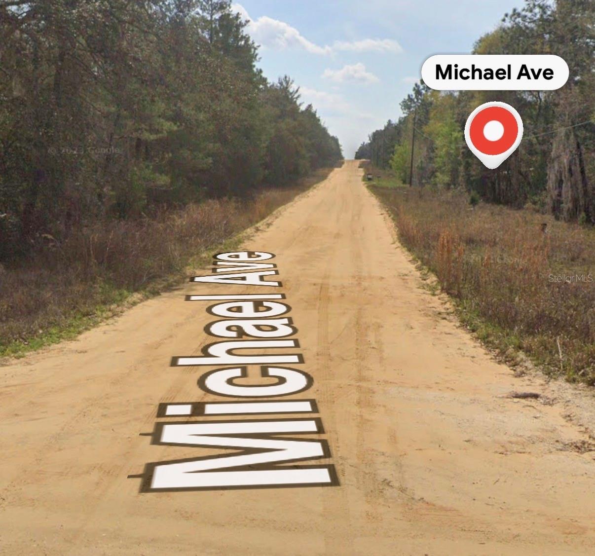 MICHAEL AVE, INTERLACHEN, FL, 32148