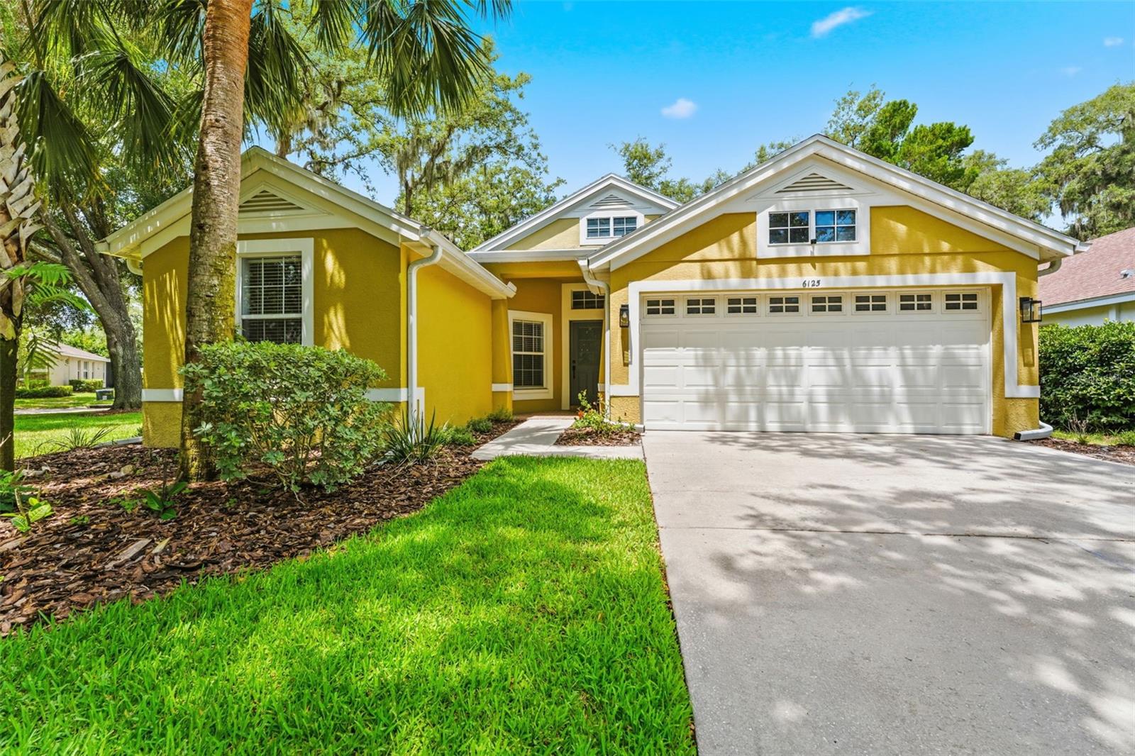 6125 GANNETWOOD PL, LITHIA, FL, 33547