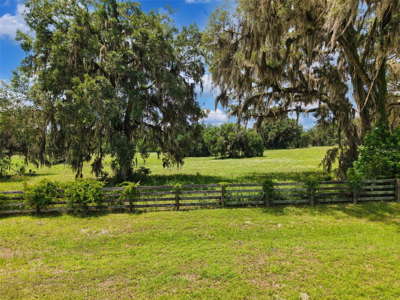 Lot 10 NW 123RD LN, MORRISTON, FL, 32668