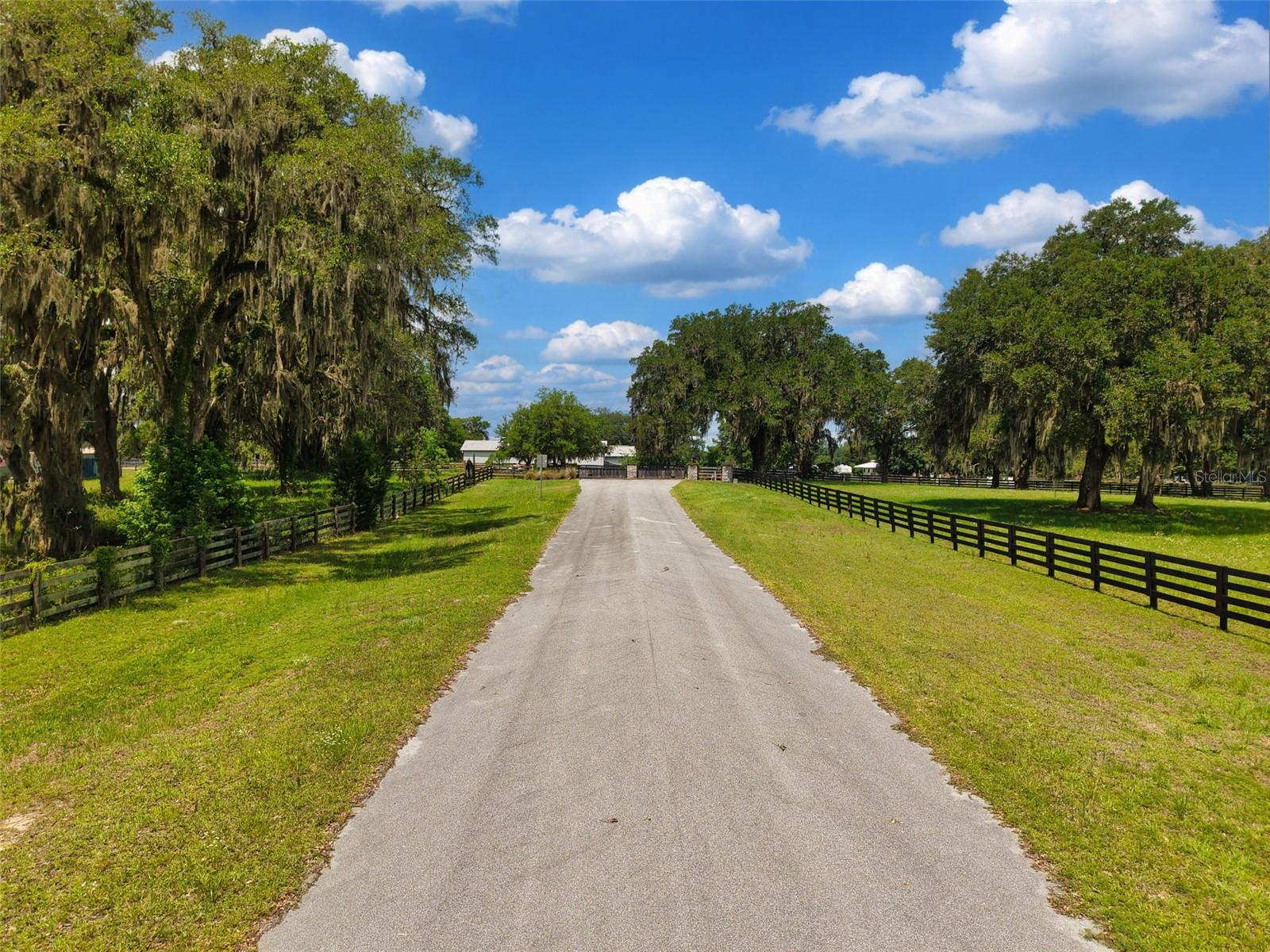 Lot 10 NW 123RD LN, MORRISTON, FL, 32668