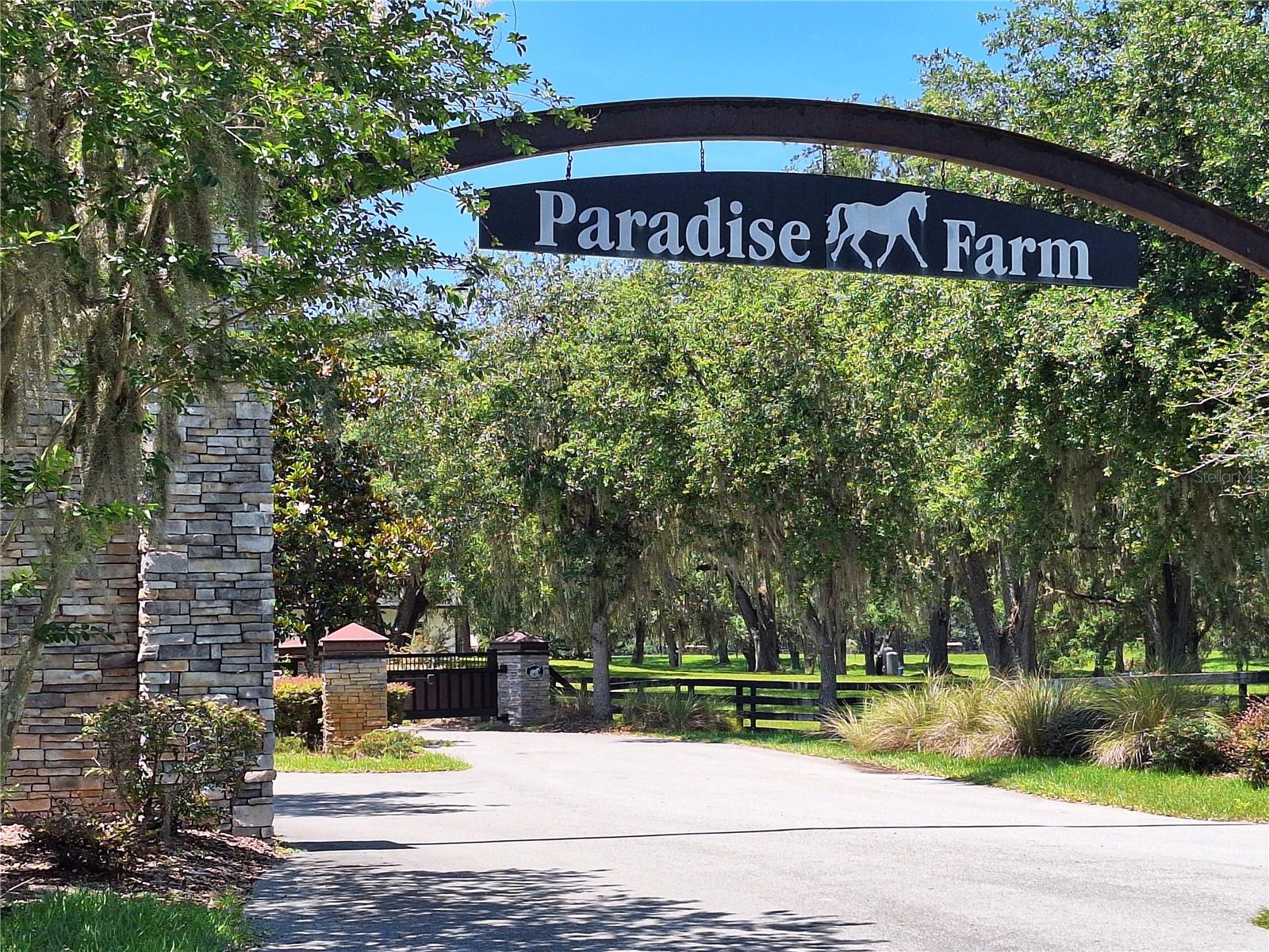 Lot 10 NW 123RD LN, MORRISTON, FL, 32668