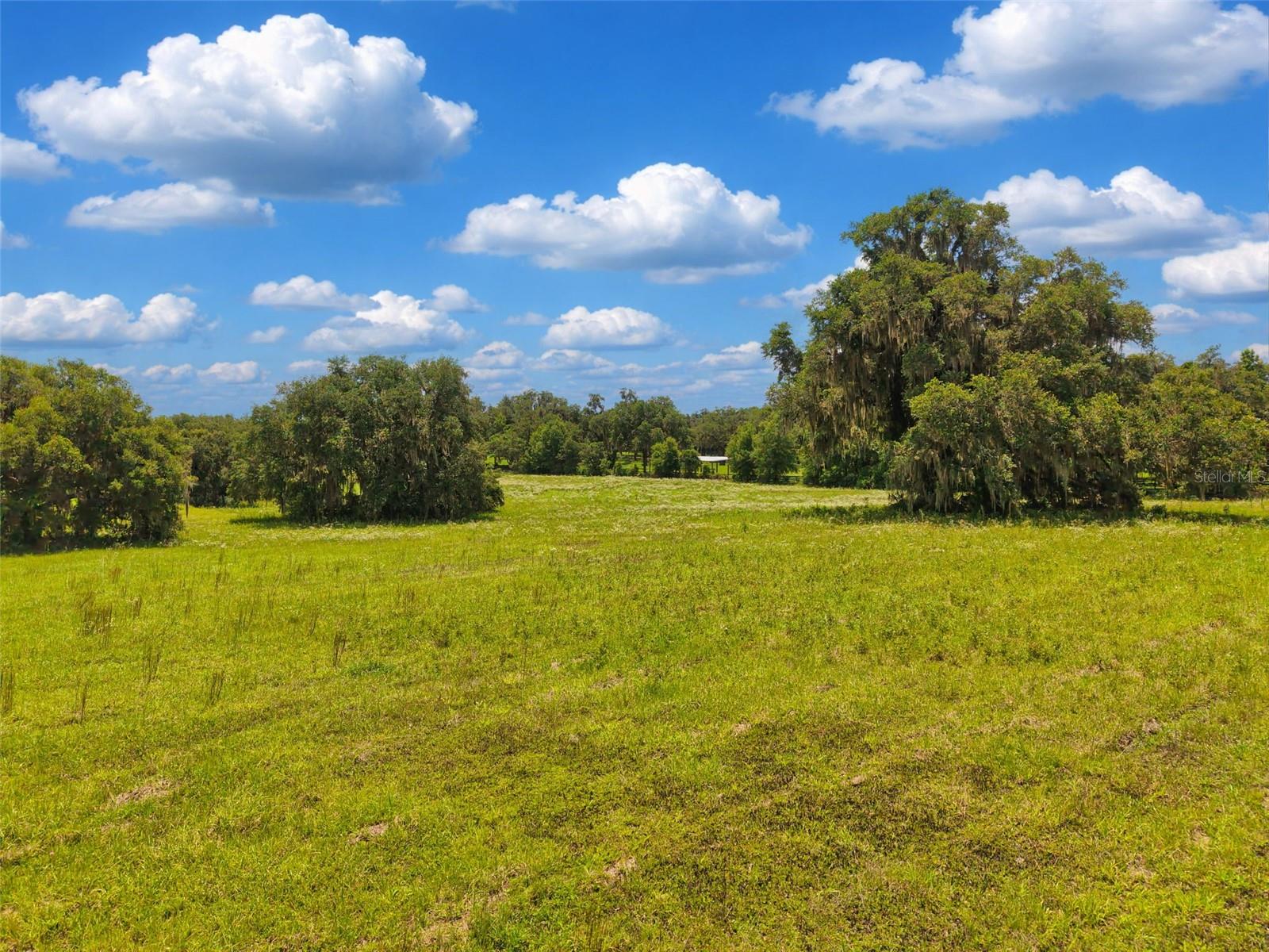 Lot 10 NW 123RD LN, MORRISTON, FL, 32668