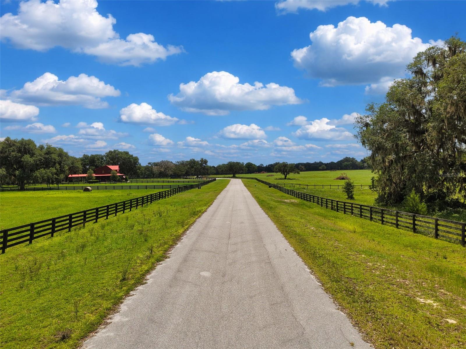 Lot 10 NW 123RD LN, MORRISTON, FL, 32668