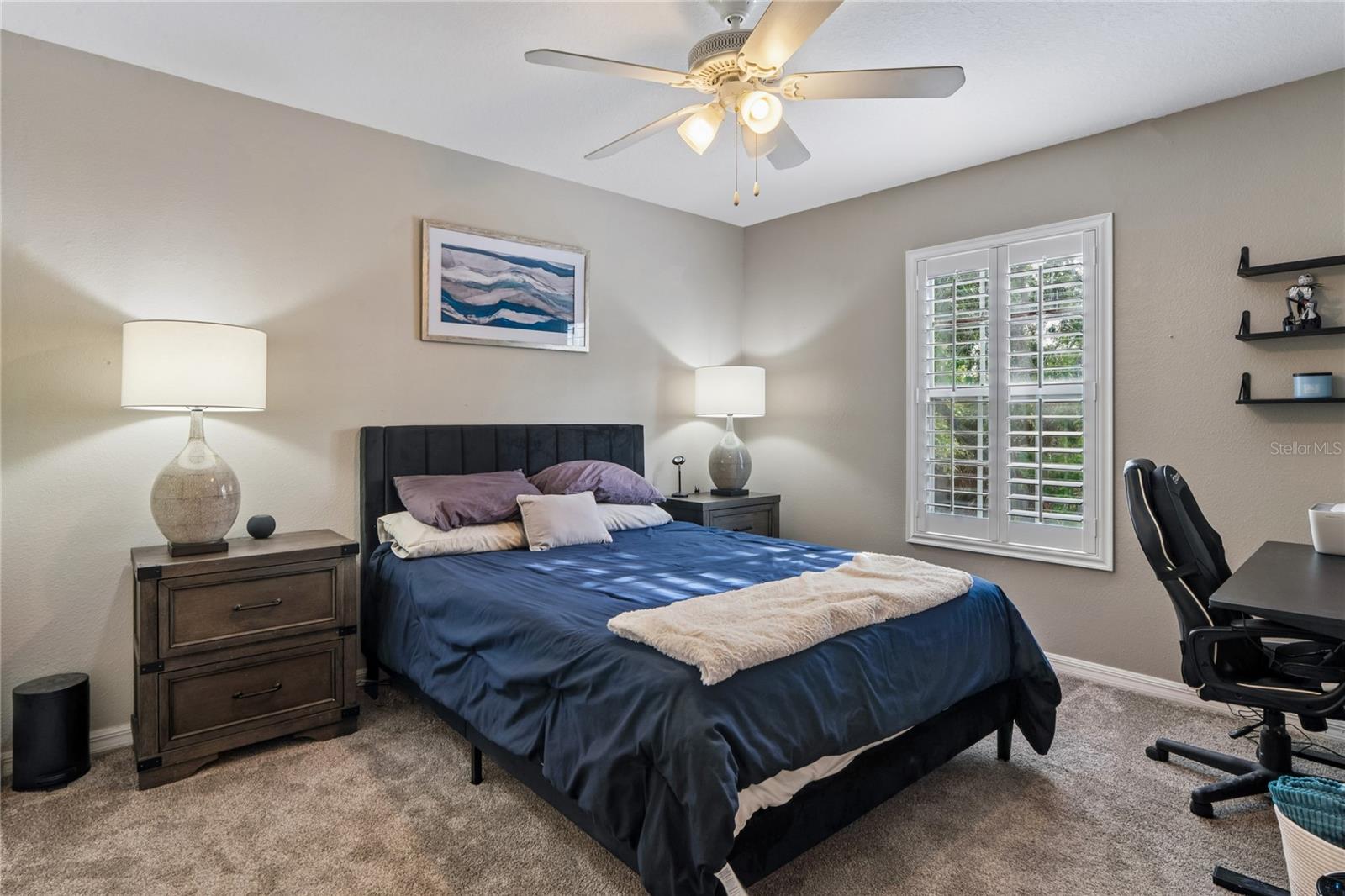 3546 FERRELL ST, NEW PORT RICHEY, FL, 34655