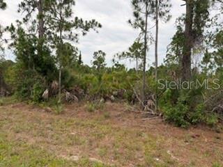 12141 MC ELROY AVE, PORT CHARLOTTE, FL, 33981