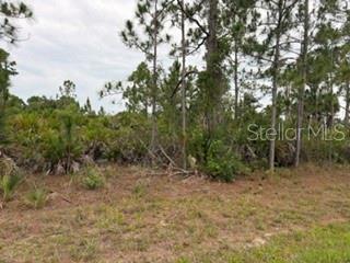 12141 MC ELROY AVE, PORT CHARLOTTE, FL, 33981