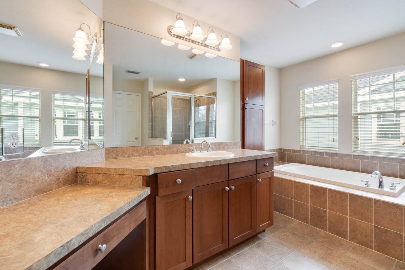 16126 BRIDGECROSSING DR, LITHIA, FL, 33547