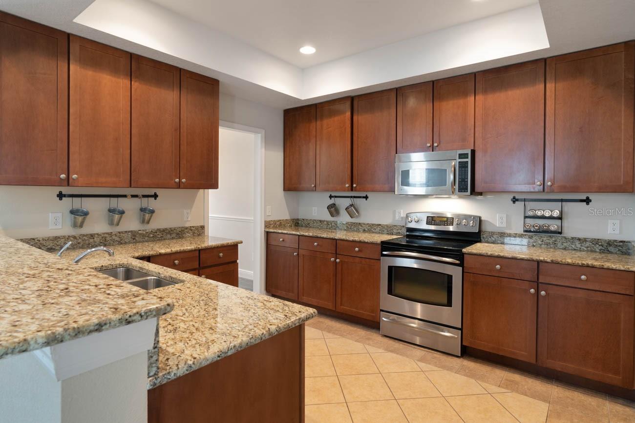 16126 BRIDGECROSSING DR, LITHIA, FL, 33547