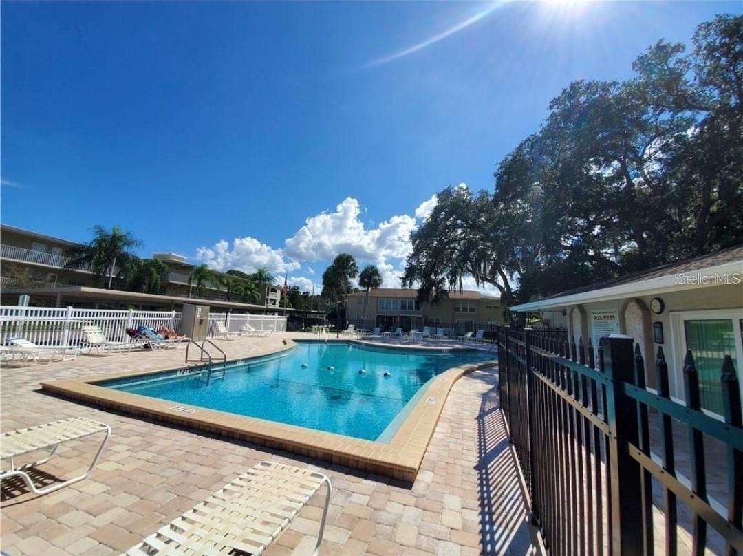 841 PATRICIA AVE #206, DUNEDIN, FL, 34698