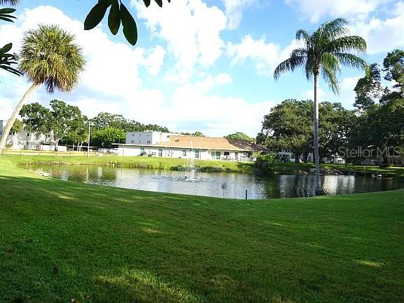 841 PATRICIA AVE #206, DUNEDIN, FL, 34698