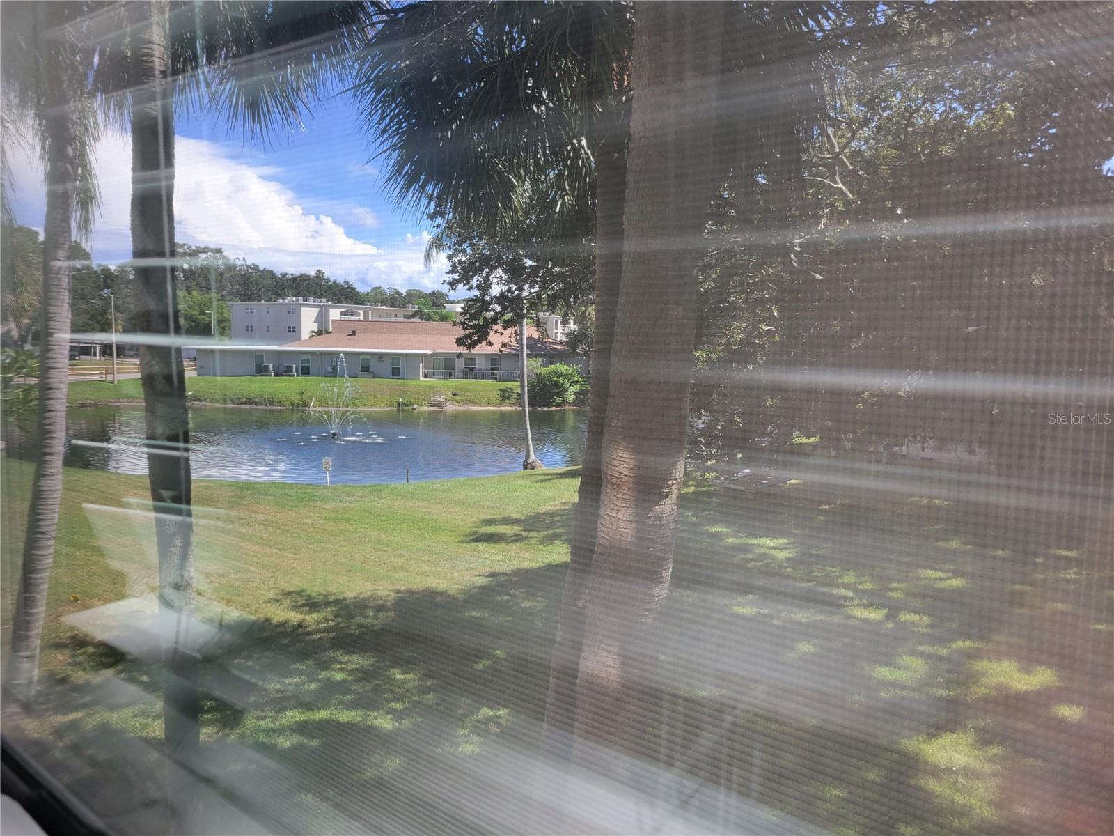841 PATRICIA AVE #206, DUNEDIN, FL, 34698