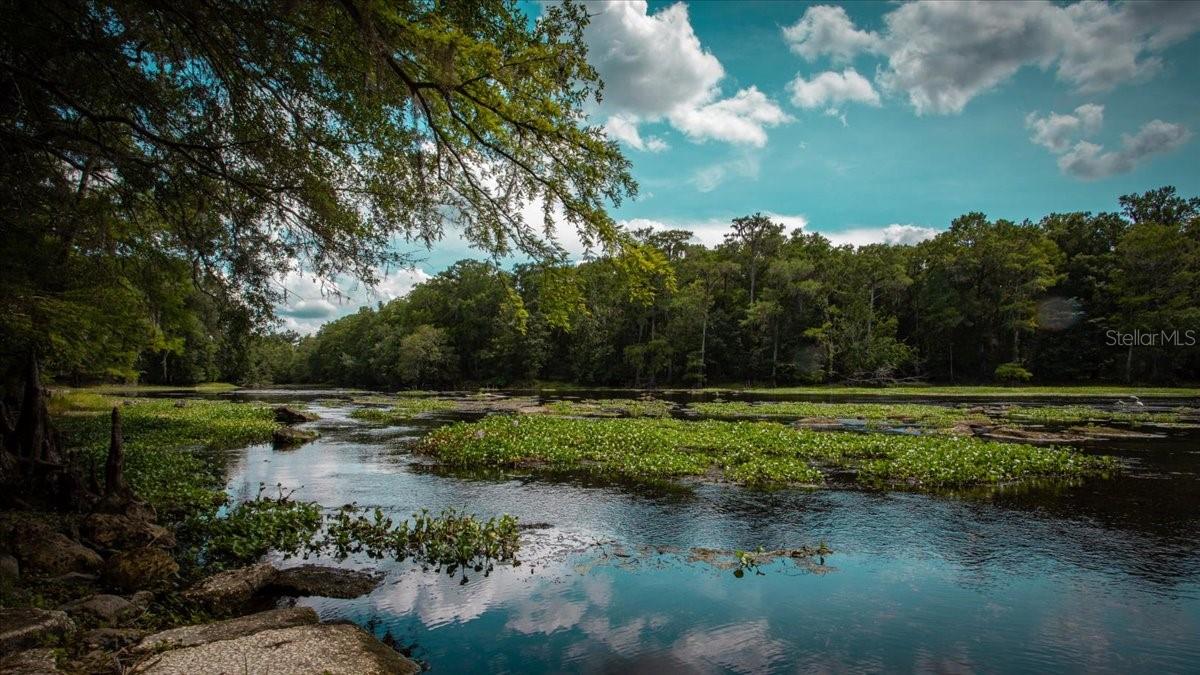 TBD SW BLUEBIRD CT, FORT WHITE, FL, 32038