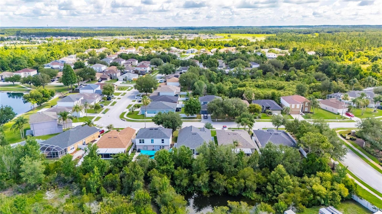 31620 LOCH ALINE DR, WESLEY CHAPEL, FL, 33545