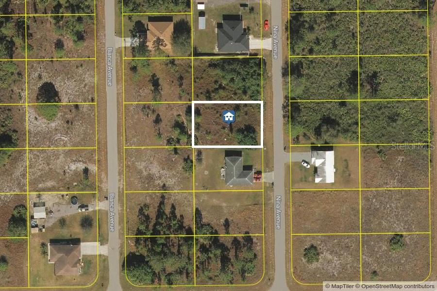 768 NINA AVE S, LEHIGH ACRES, FL, 33974