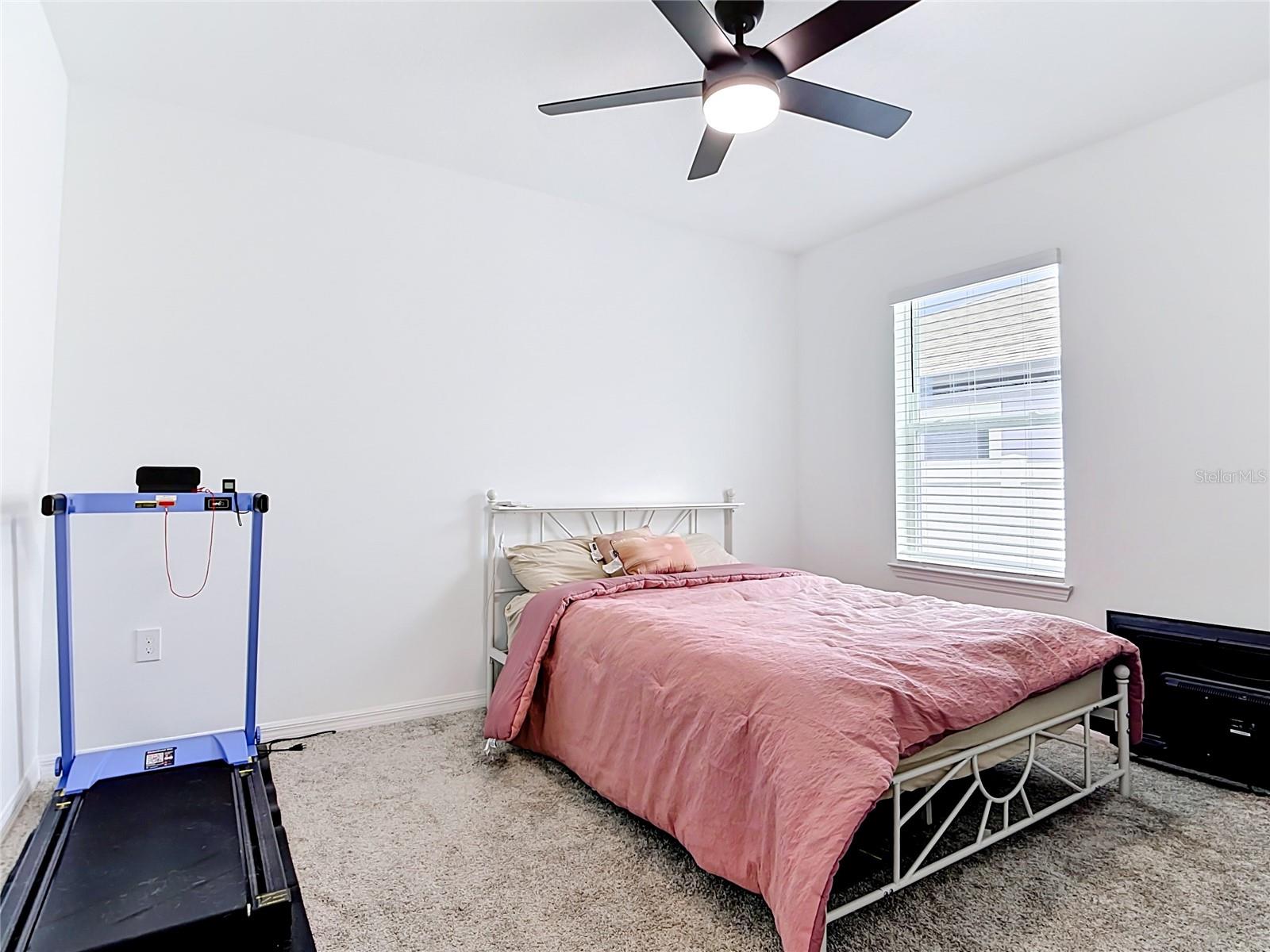 459 PINE TREE BLVD, LAKE ALFRED, FL, 33850