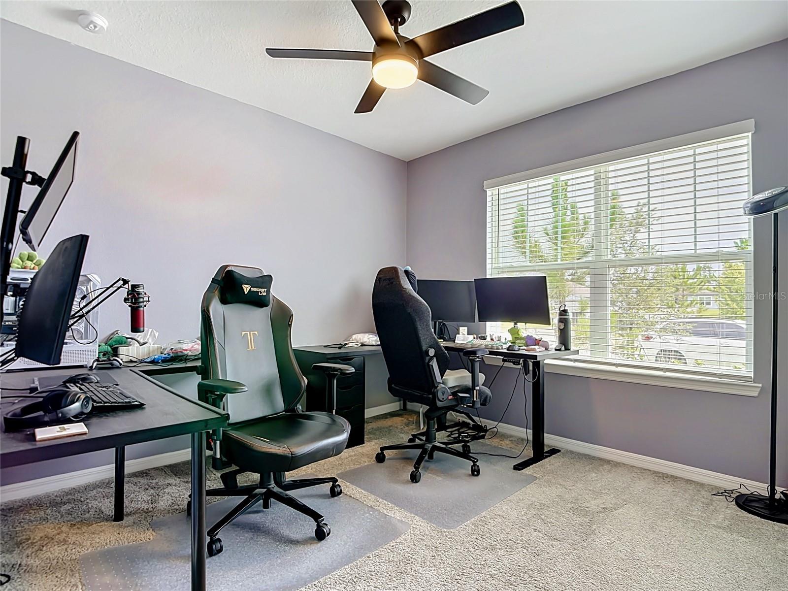 459 PINE TREE BLVD, LAKE ALFRED, FL, 33850