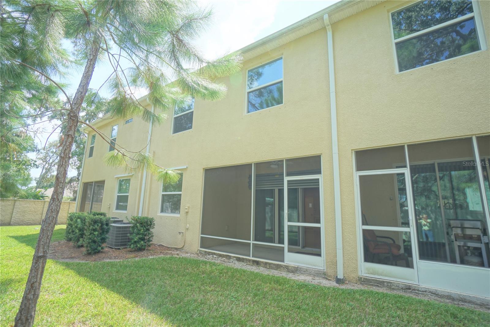 13107 CANOPY CREEK DR, TAMPA, FL, 33625