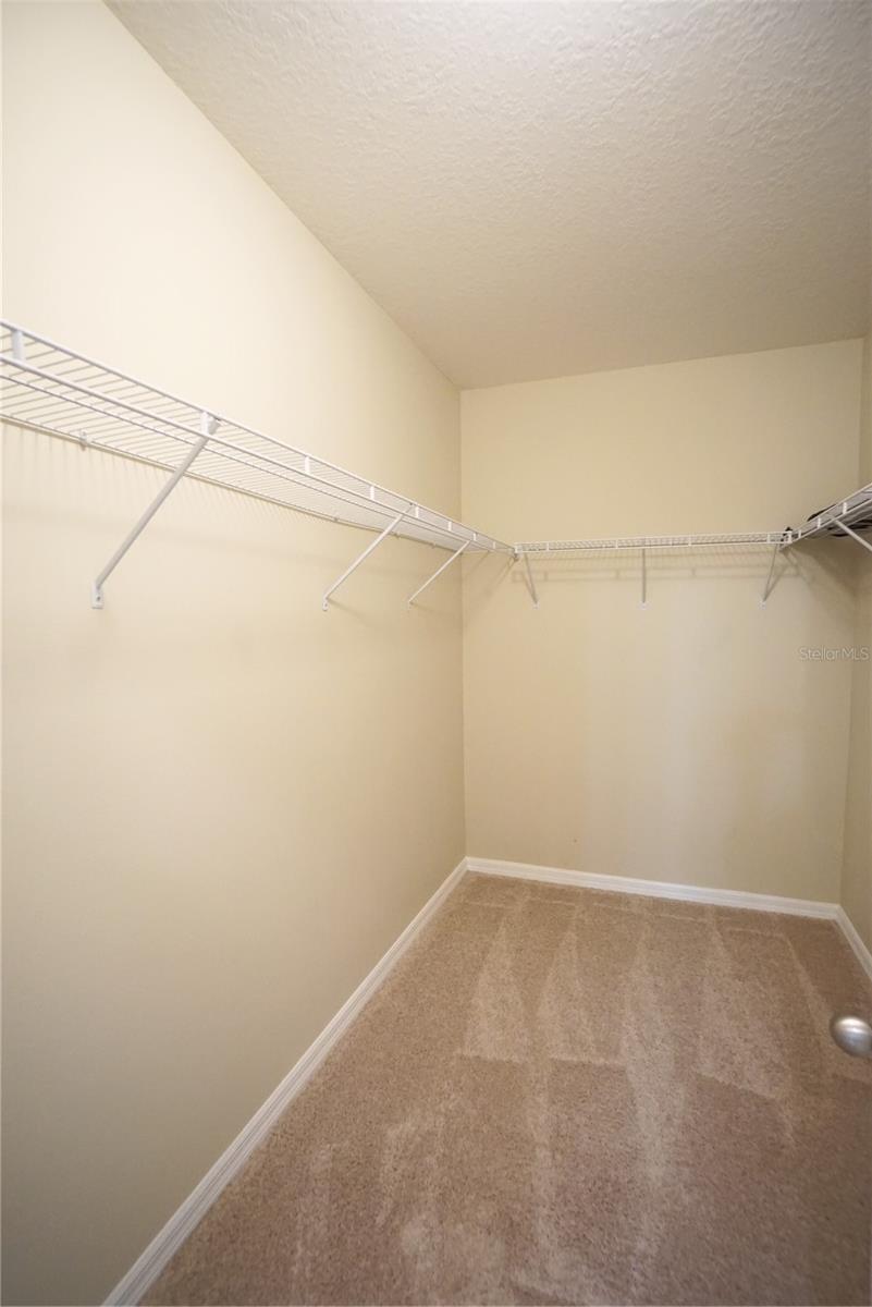 13107 CANOPY CREEK DR, TAMPA, FL, 33625