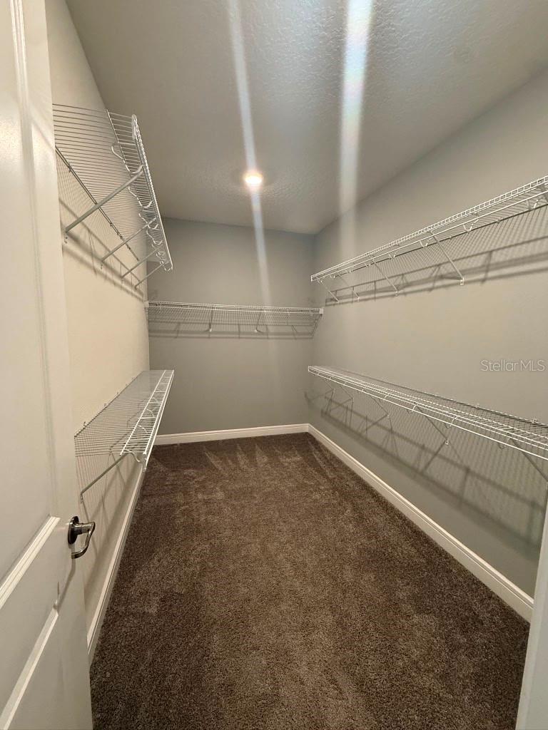 10732 PAHOKEE BEACH PL, ORLANDO, FL, 32827