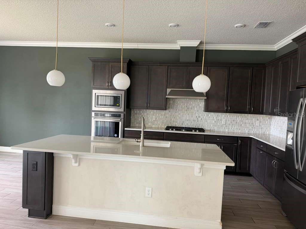 10732 PAHOKEE BEACH PL, ORLANDO, FL, 32827