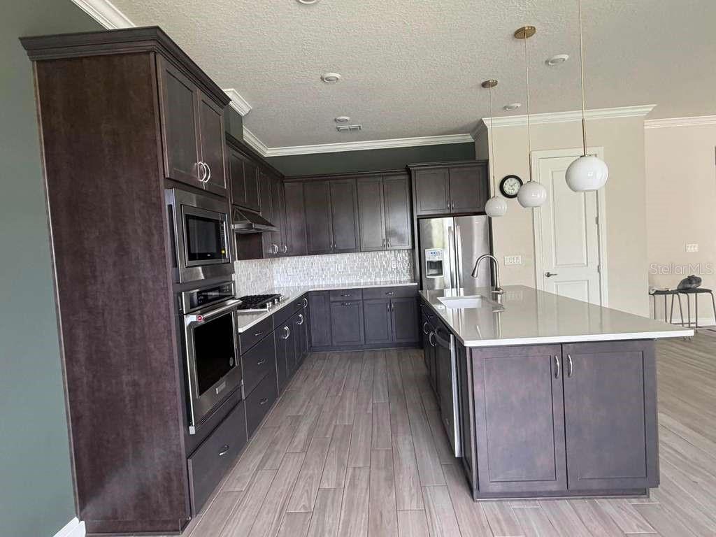 10732 PAHOKEE BEACH PL, ORLANDO, FL, 32827