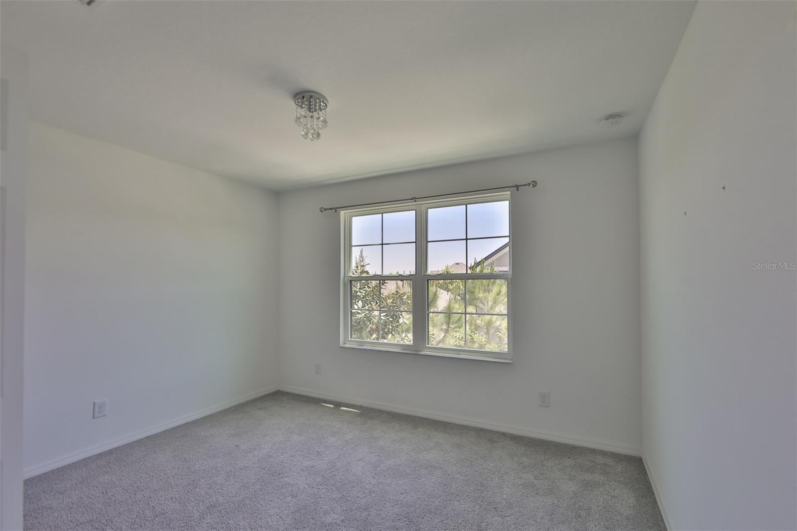 3044 ABRAMS TRL, ODESSA, FL, 33556